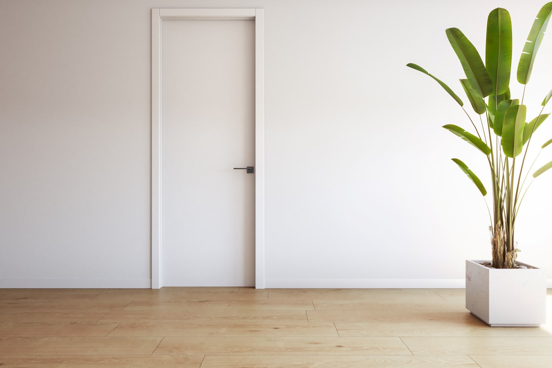 Nowy budynek - Mieszkanie w bloku - Torrevieja