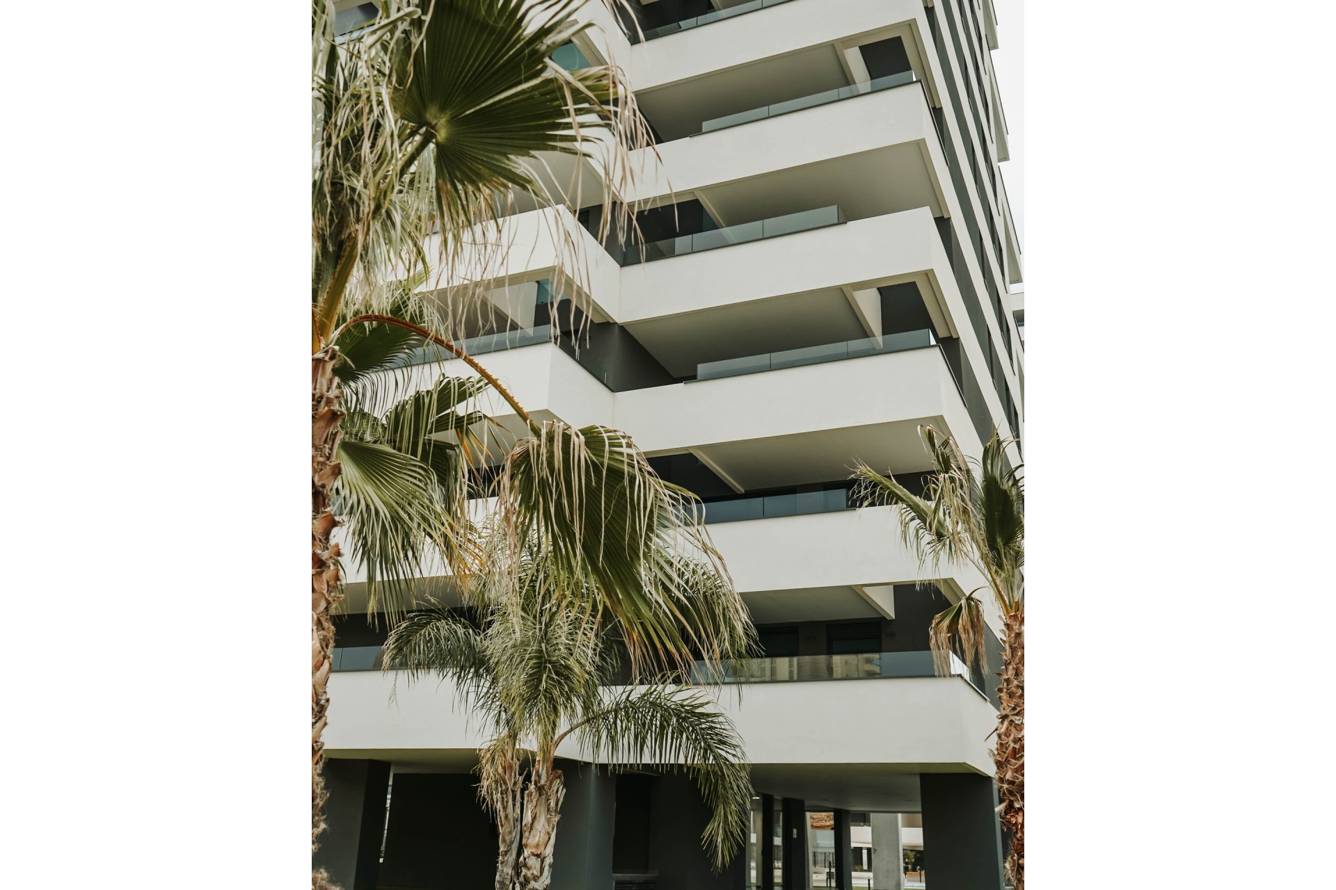 Nowy budynek - Penthouse - Calpe