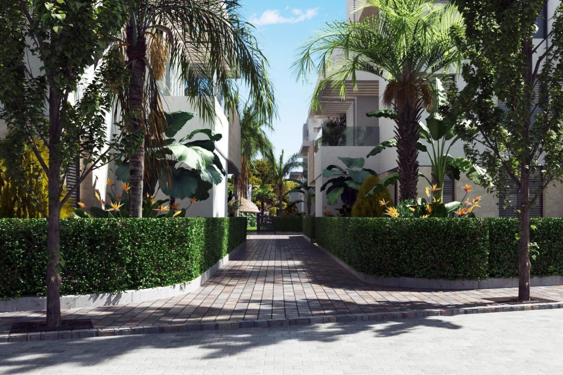 Nowy budynek - Penthouse - Santa Rosalía