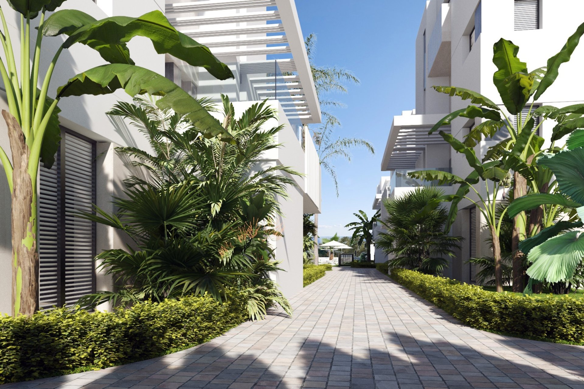 Nowy budynek - Penthouse - Santa Rosalía