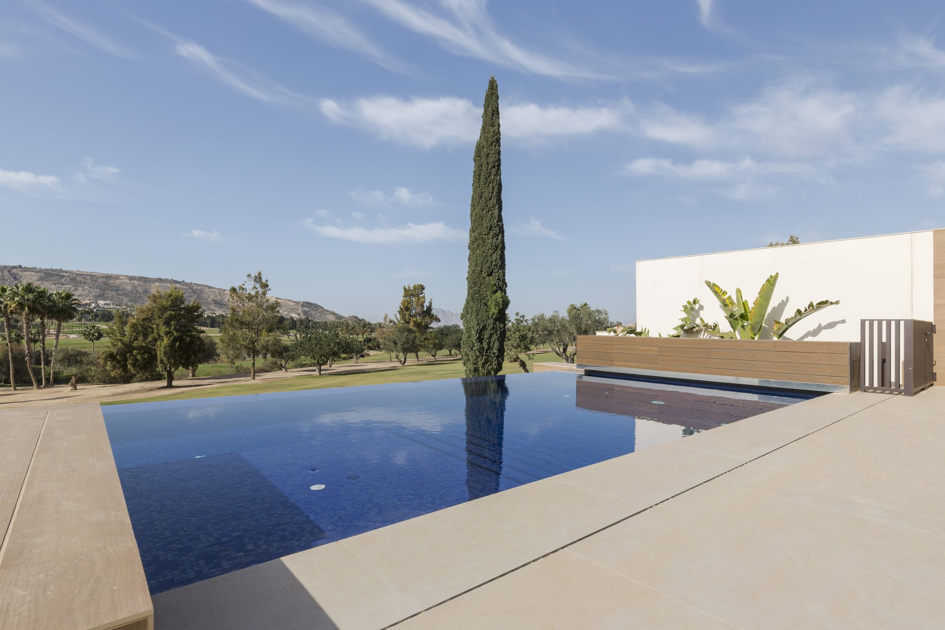 Nowy budynek - Villa - Algorfa