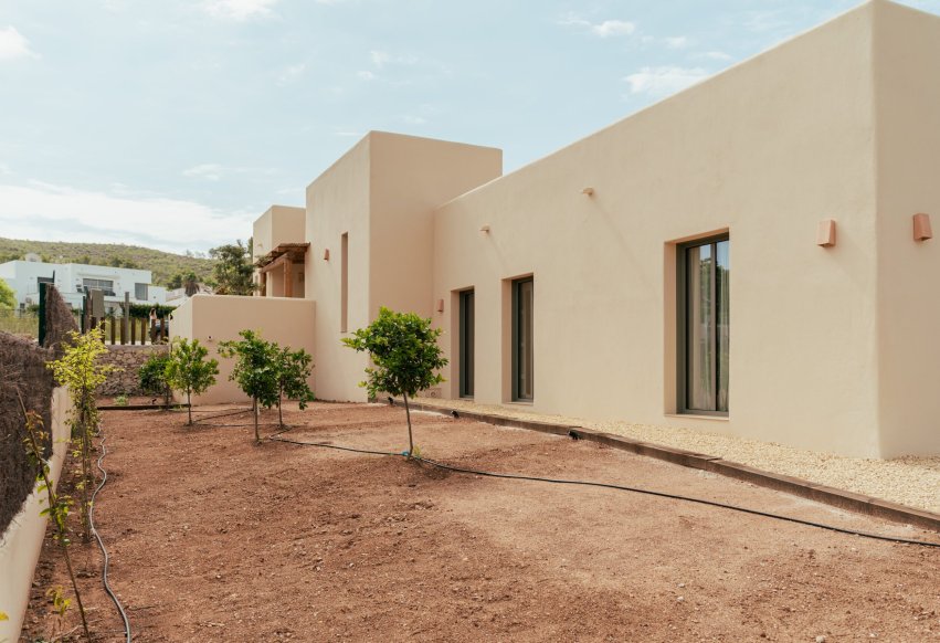 Nowy budynek - Villa - Jávea