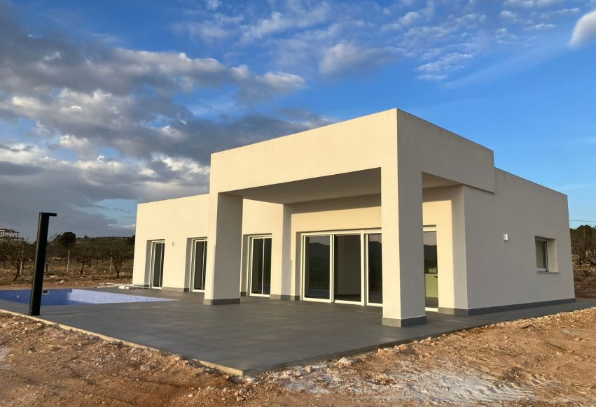 Nowy budynek - Villa - Pinoso