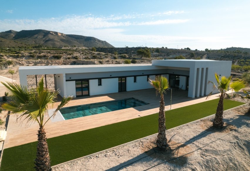 Nowy budynek - Villa - Pinoso
