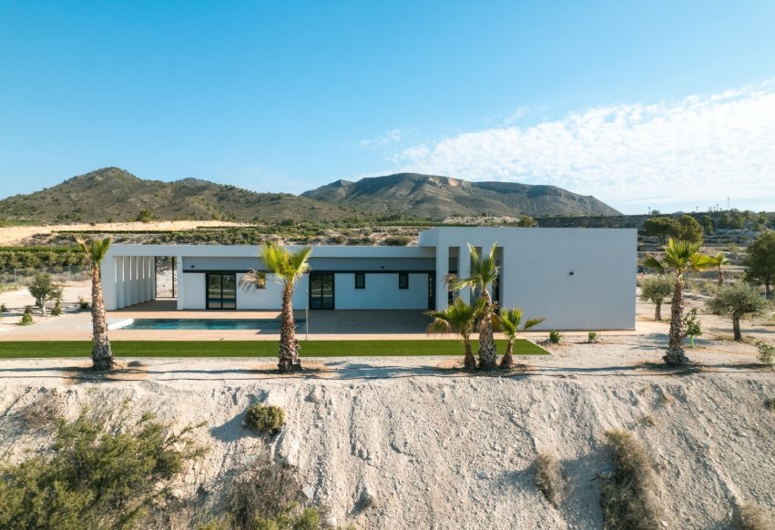 Nowy budynek - Villa - Pinoso