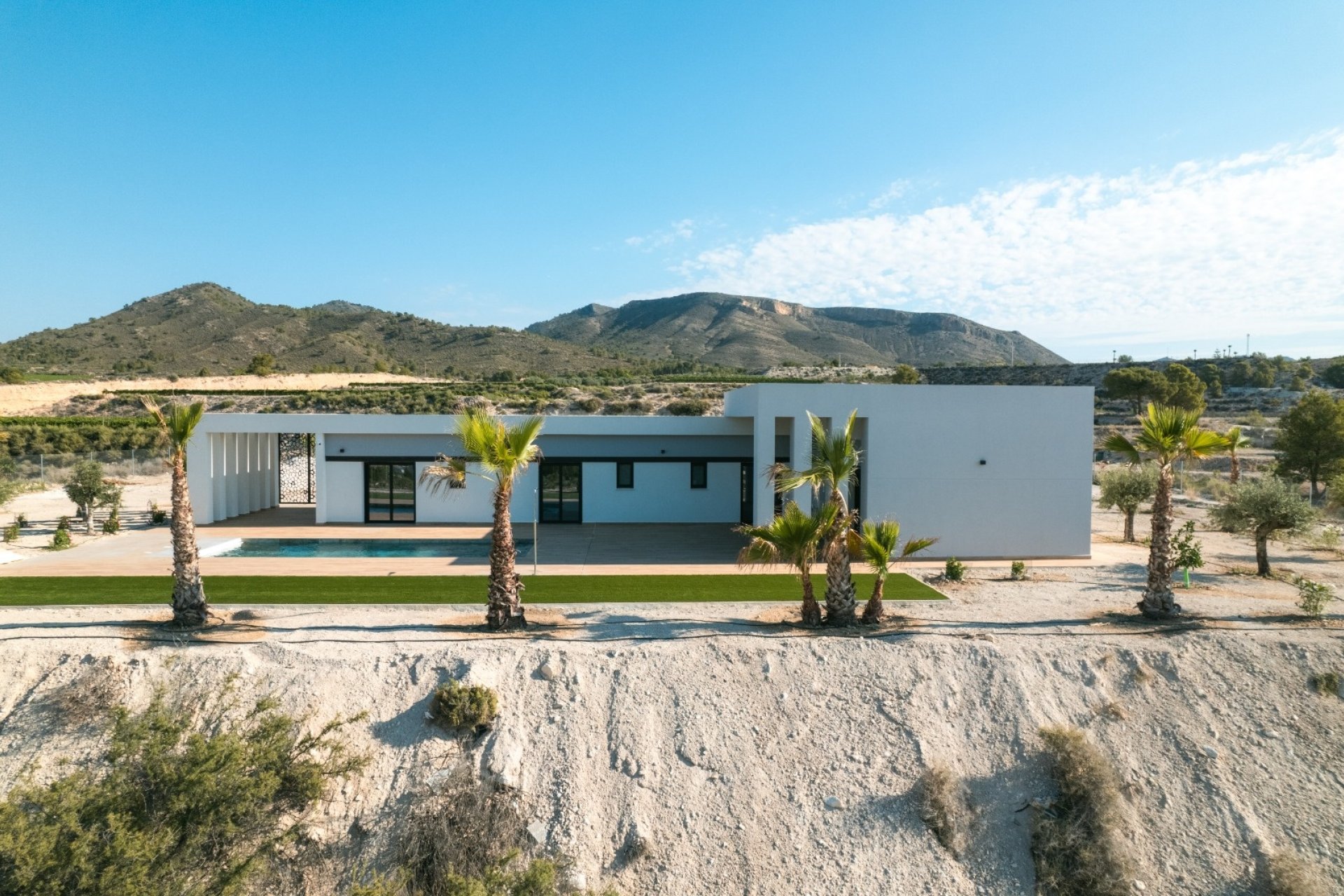 Nowy budynek - Villa - Pinoso