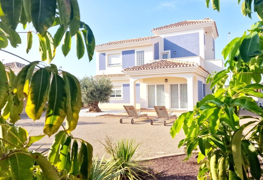 Nowy budynek - Villa - Purias