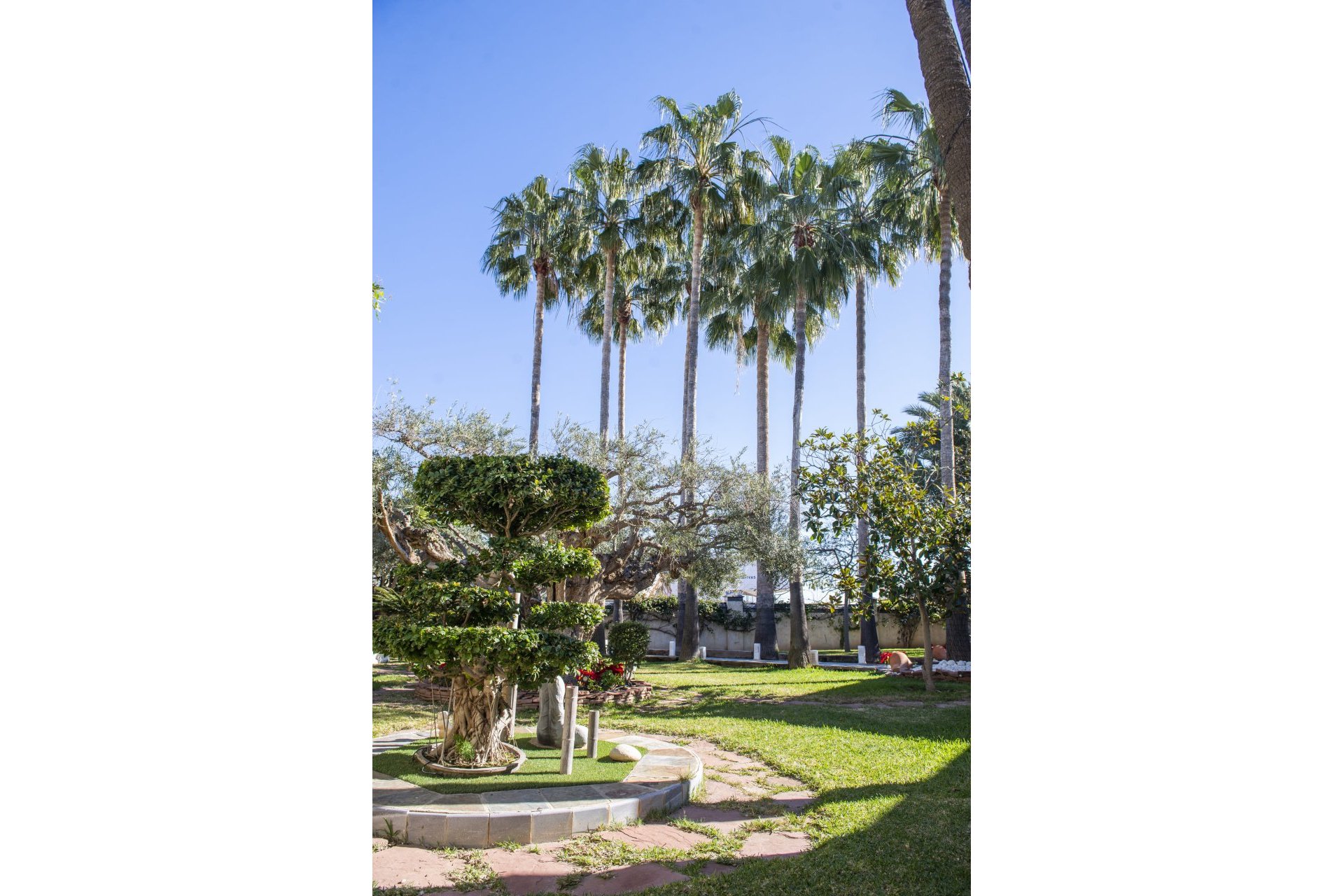 Nowy budynek - Villa - San Pedro del Pinatar