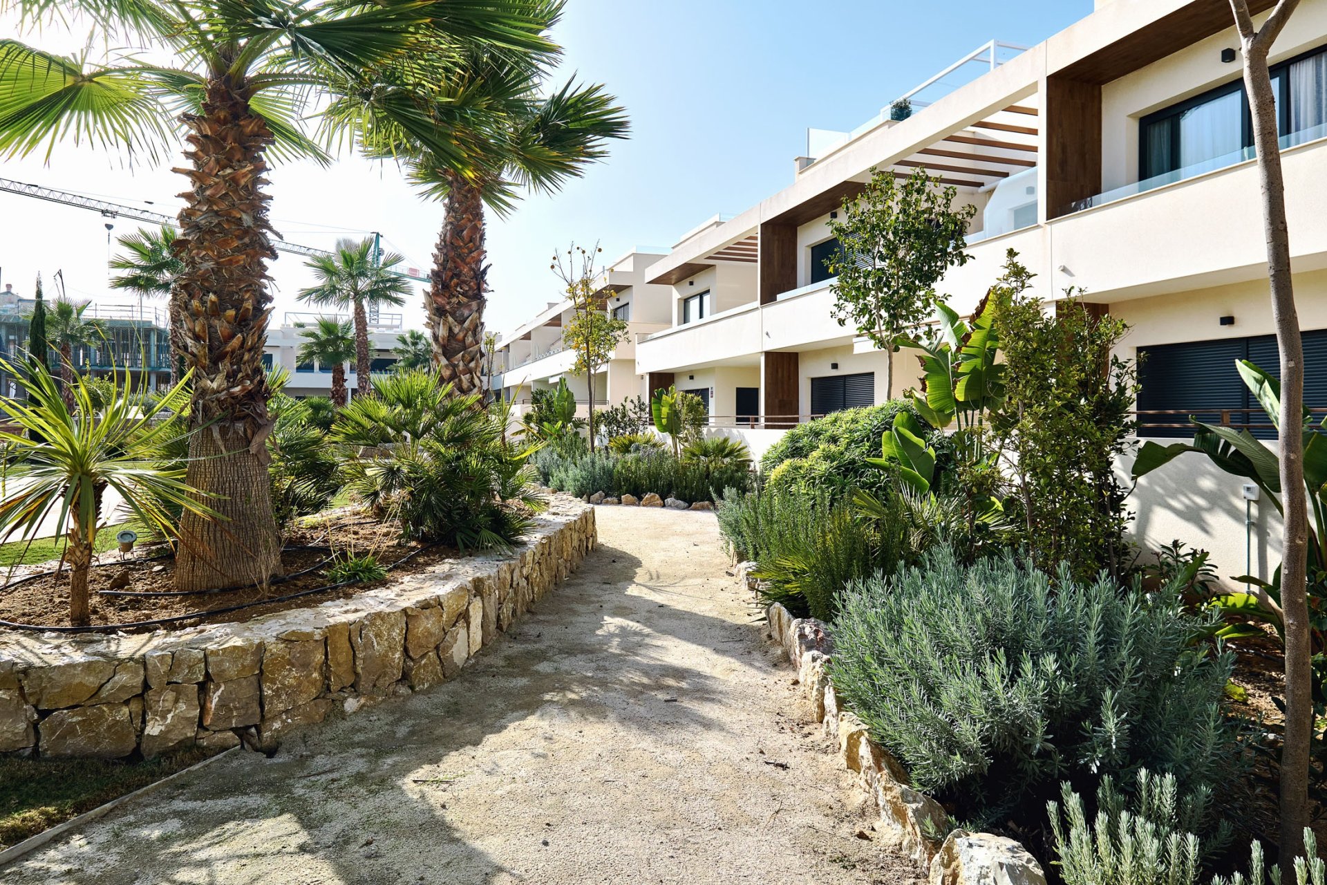 Nybygg - Bungalow - Torrevieja