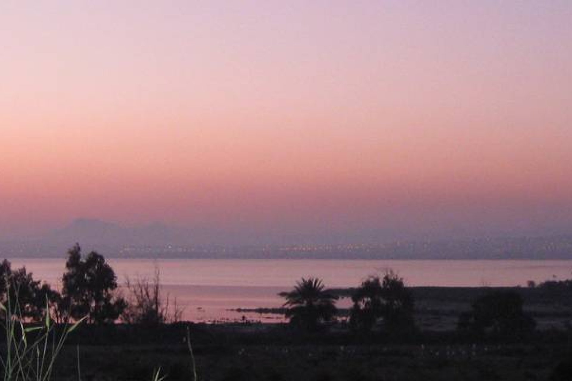 Nybygg - Leilighet / leilighet - Guardamar del Segura