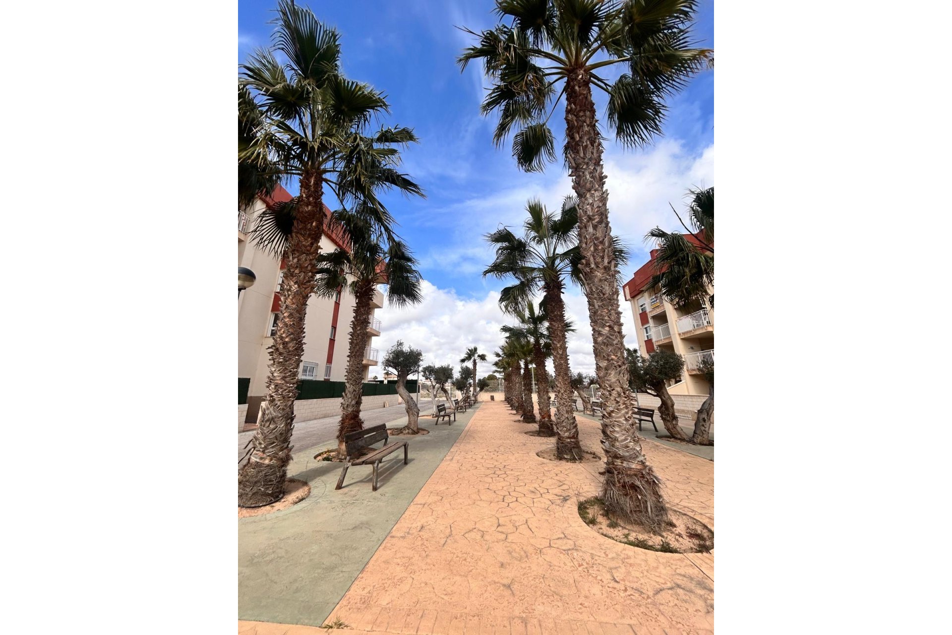 Nybygg - Toppleilighet - Orihuela