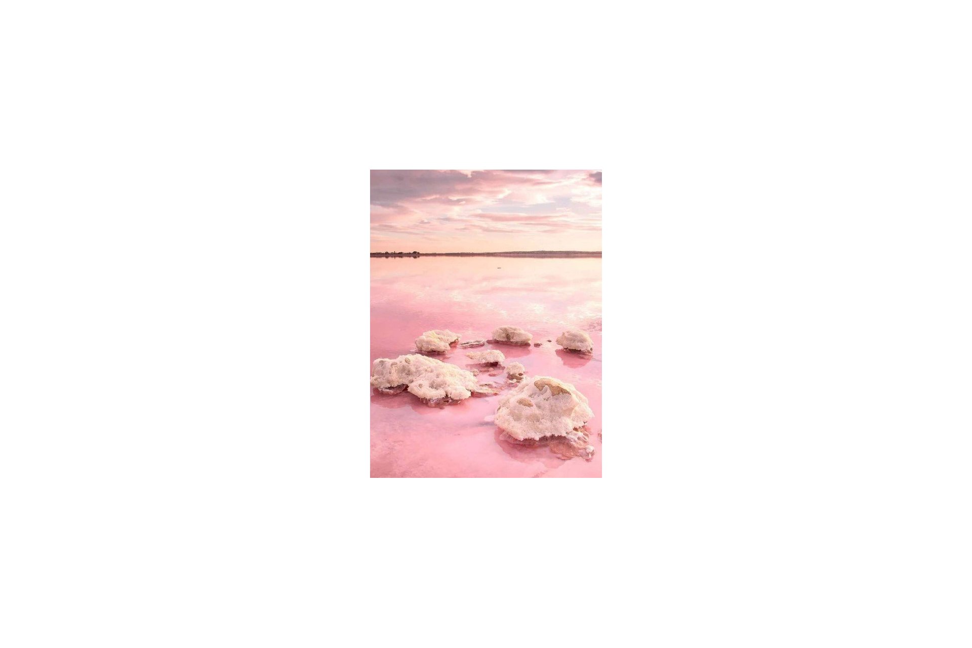 Nybygg - Toppleilighet - Torrevieja