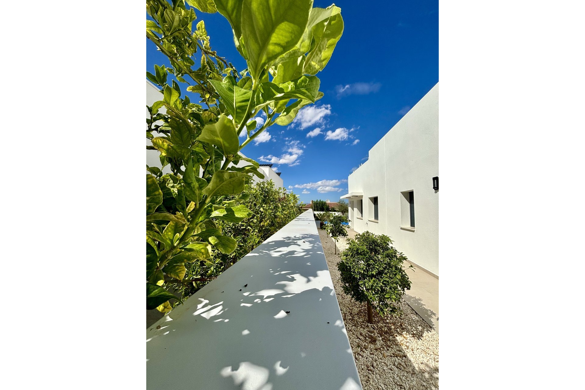 Nybygg - Villa - Benijofar
