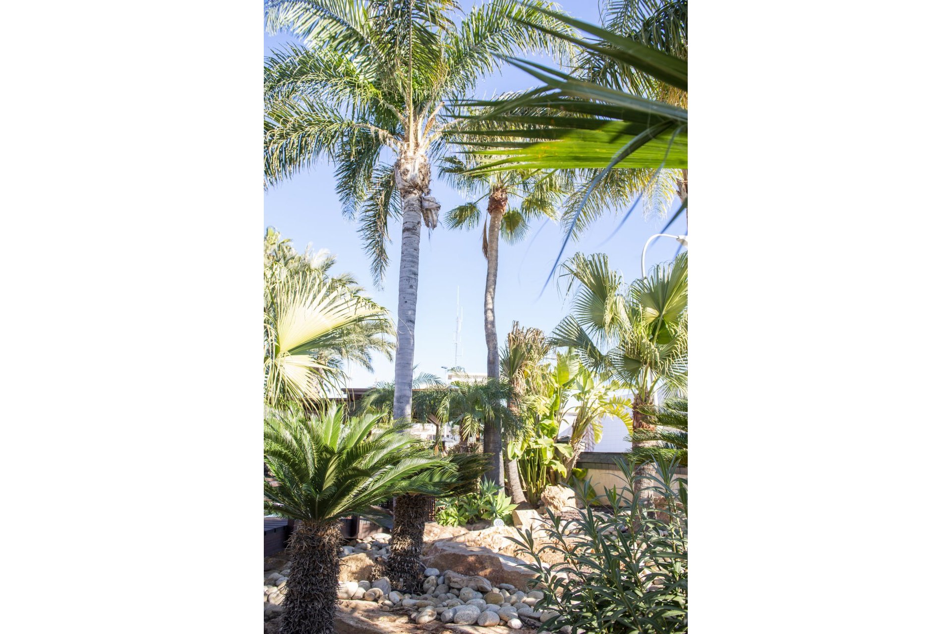 Nybygg - Villa - San Pedro del Pinatar