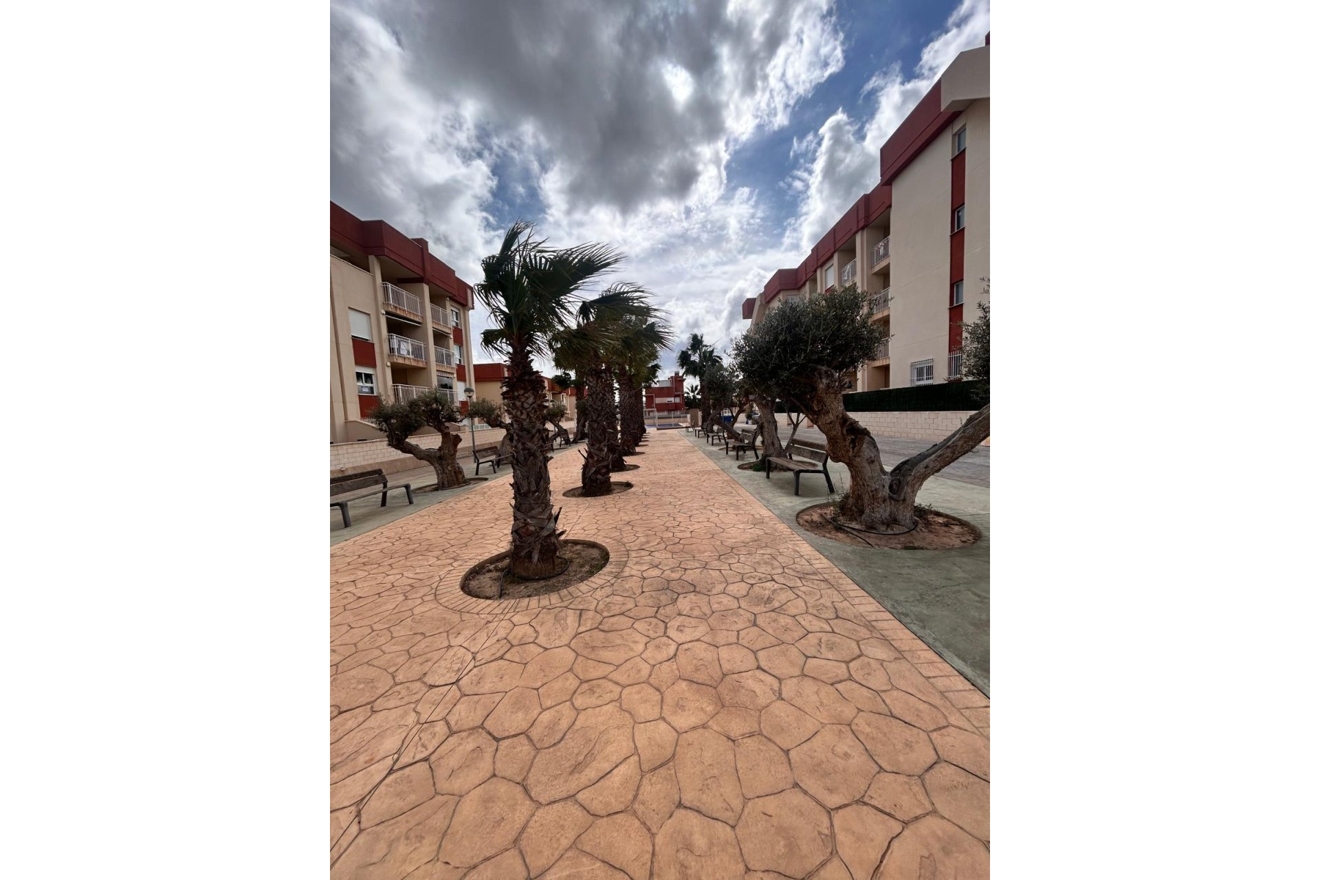 Nybyggnation - Lägenhet / lägenhet - Orihuela