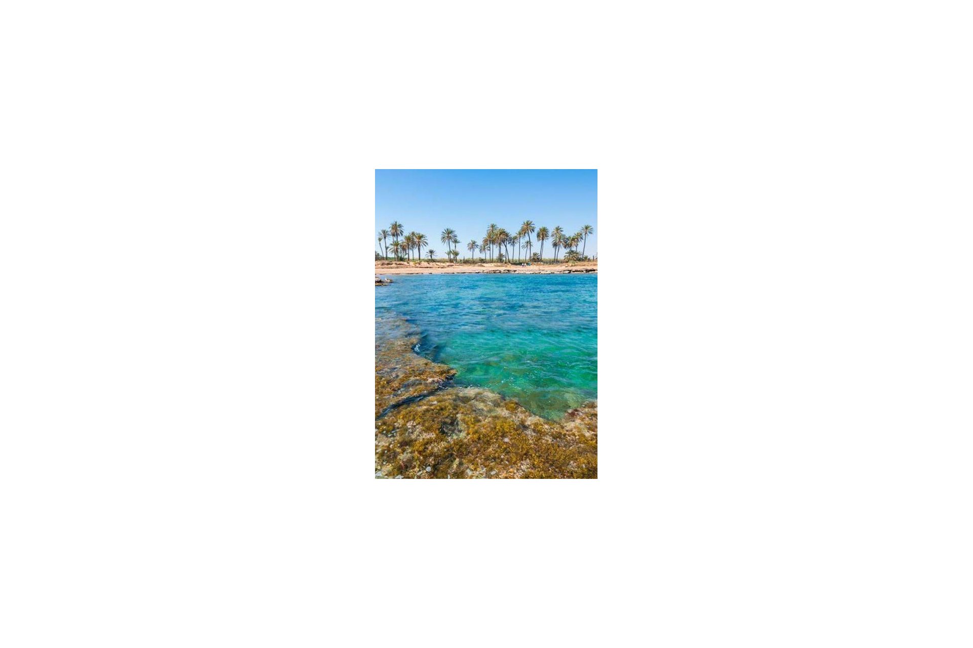Nybyggnation - Lägenhet / lägenhet - Torrevieja