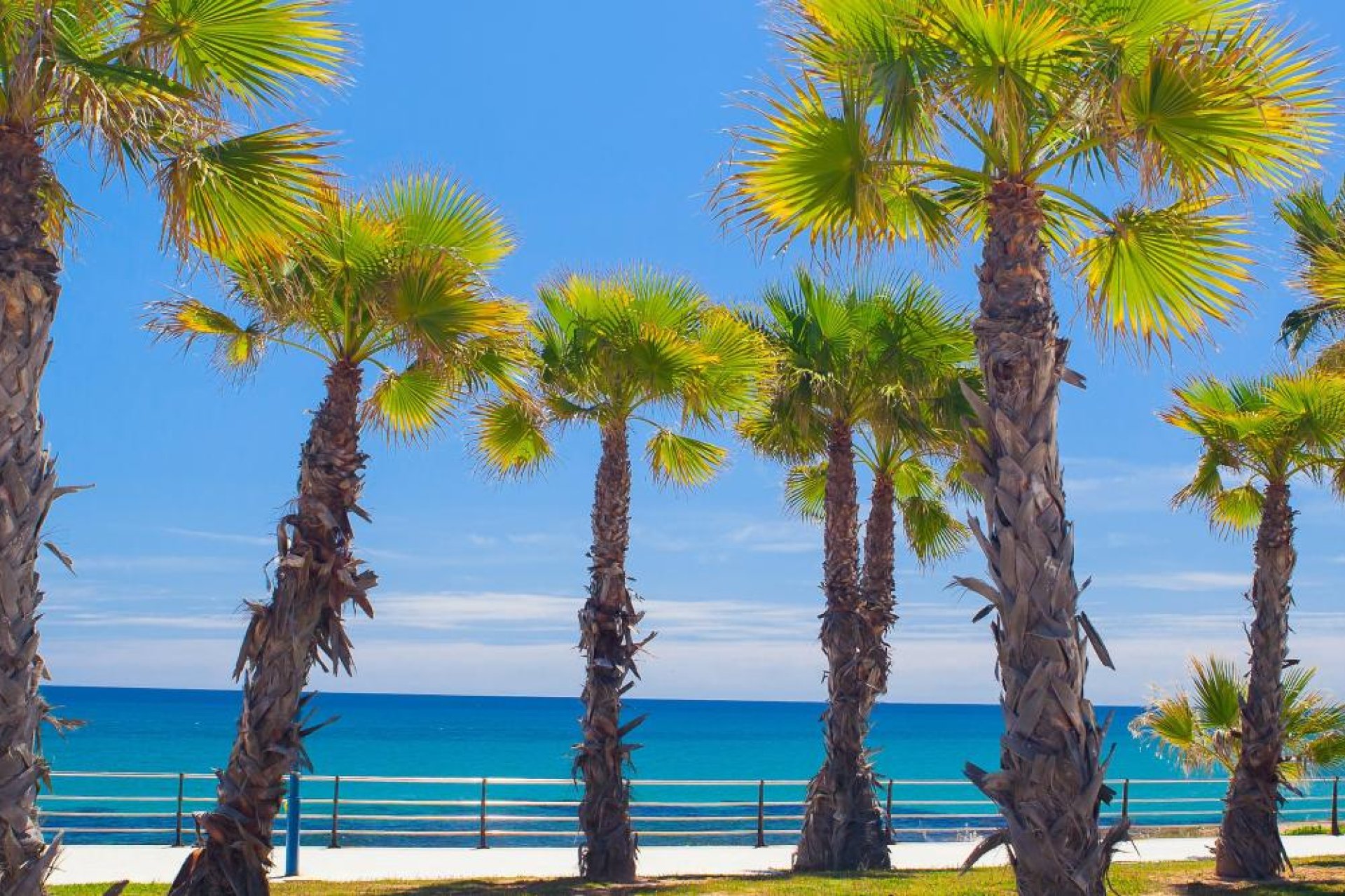 Nybyggnation - terraced - Orihuela