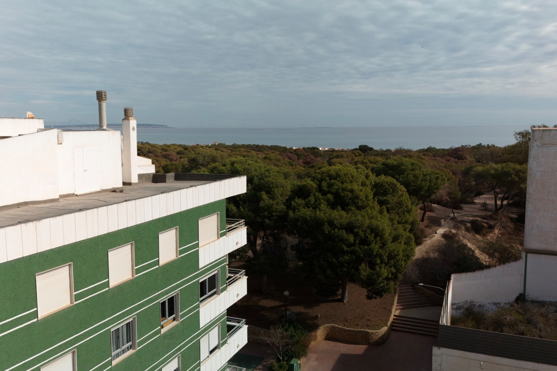 Obra nueva - Apartamento / piso - Guardamar del Segura