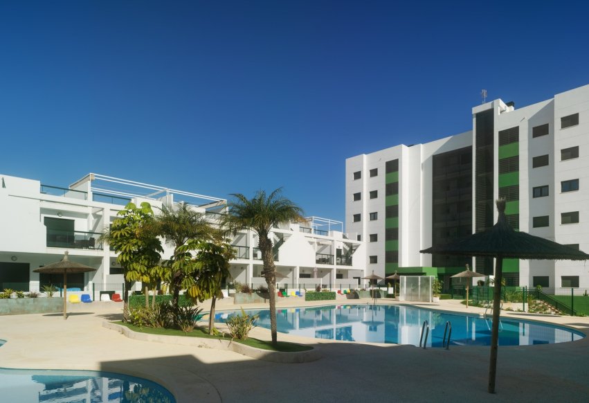 Obra nueva - Apartamento / piso - Pilar de la Horadada - Mil Palmeras