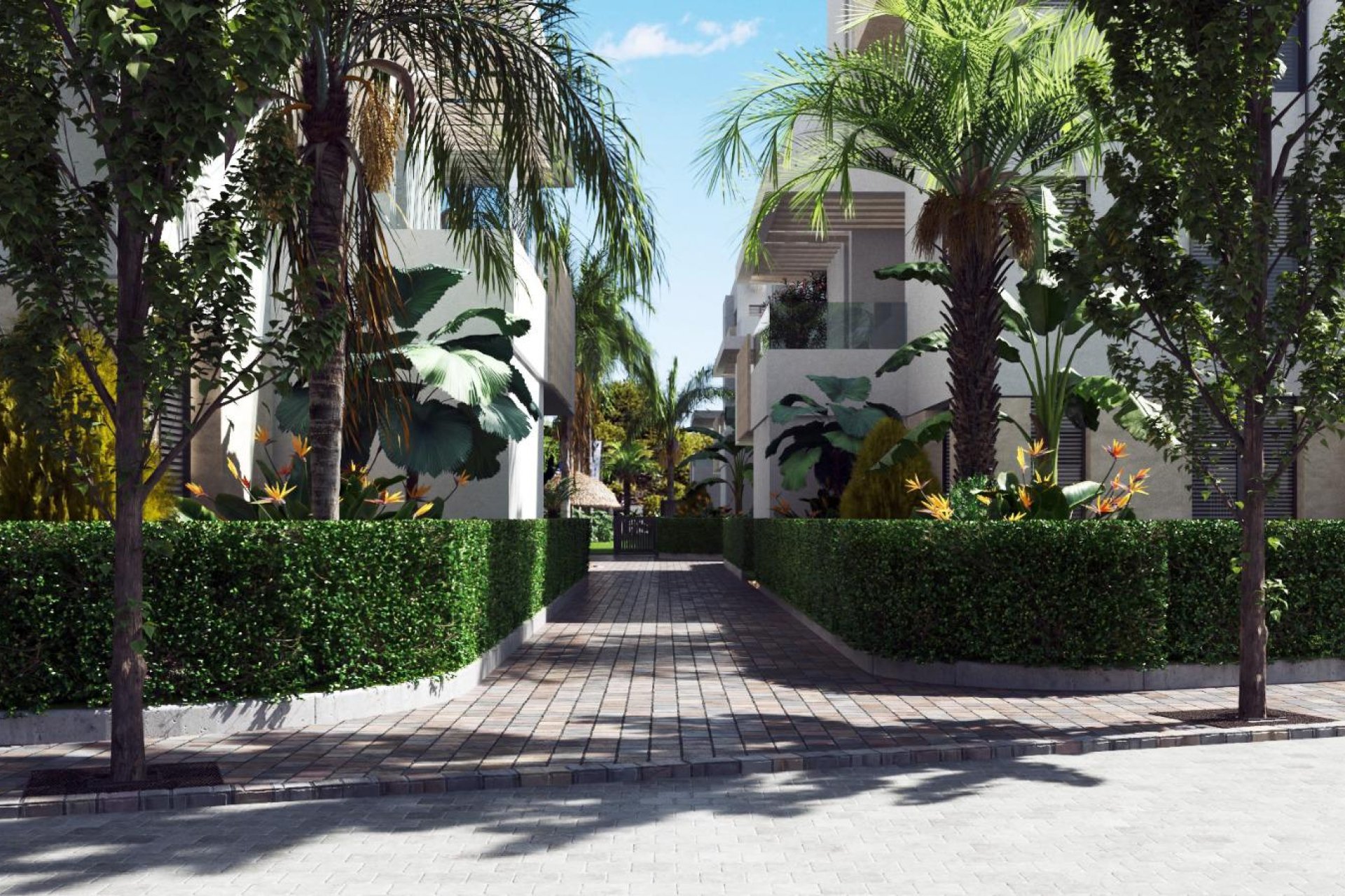 Obra nueva - Apartamento / piso - Torre Pacheco - Torre-Pacheco