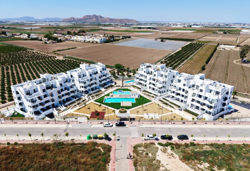 Obra nueva - Apartamento / piso - Torre Pacheco - Torre-Pacheco