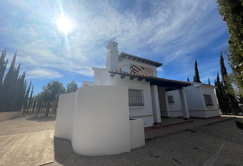 Obra nueva - detached - Fuente Alamo