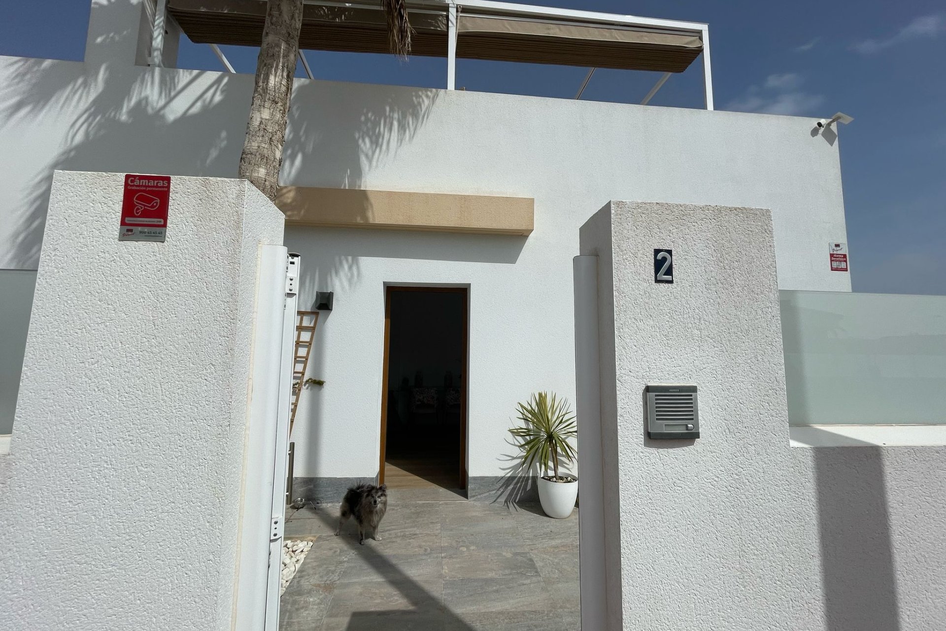 Obra nueva - detached - Murcia
