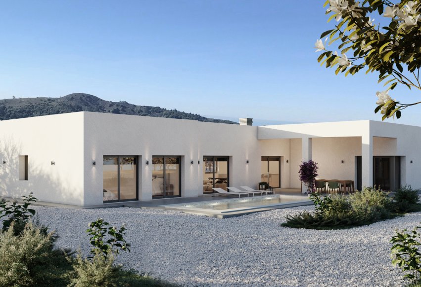 Obra nueva - detached - Pinoso