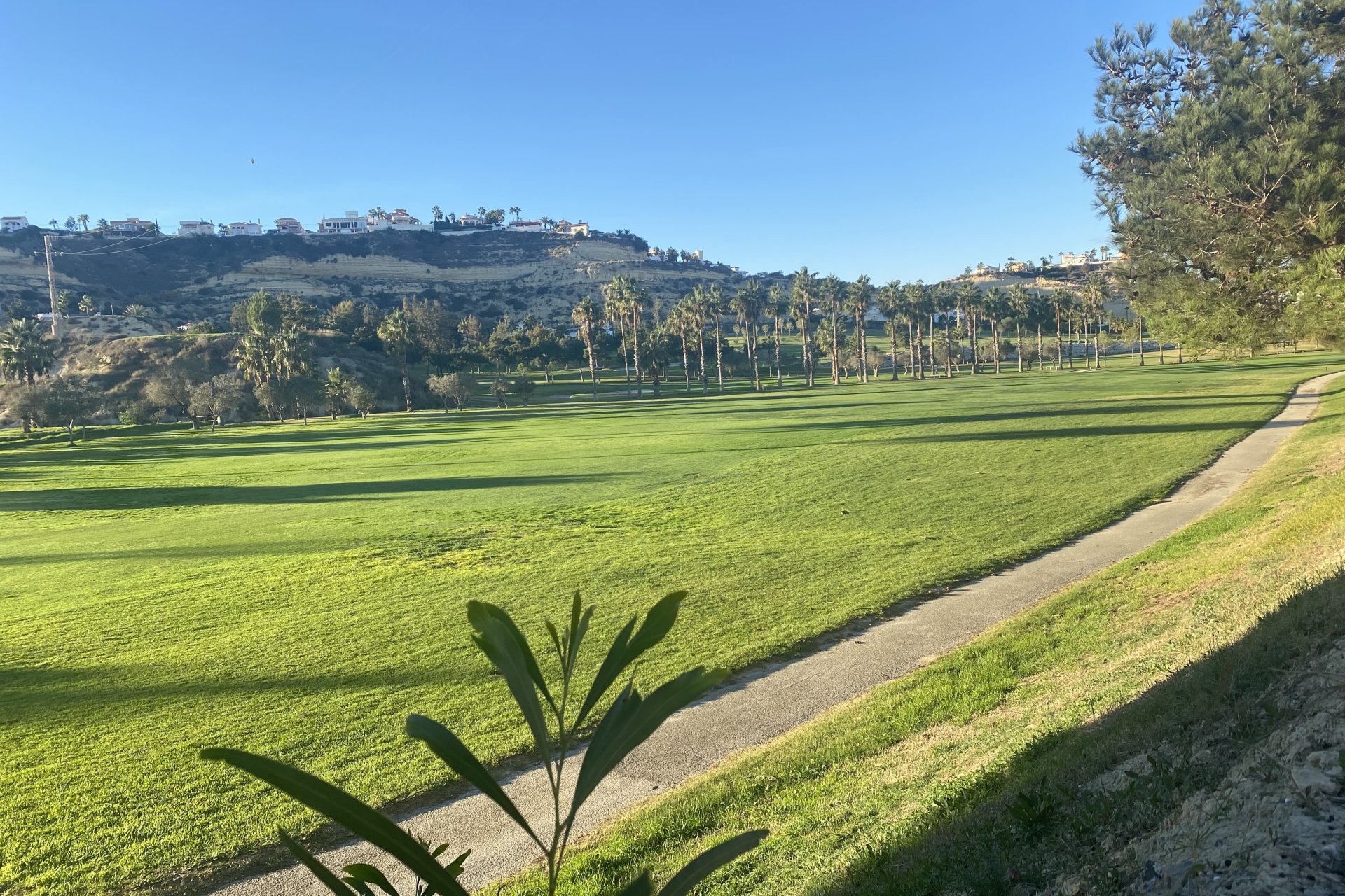 Obra nueva - terraced - Ciudad Quesada