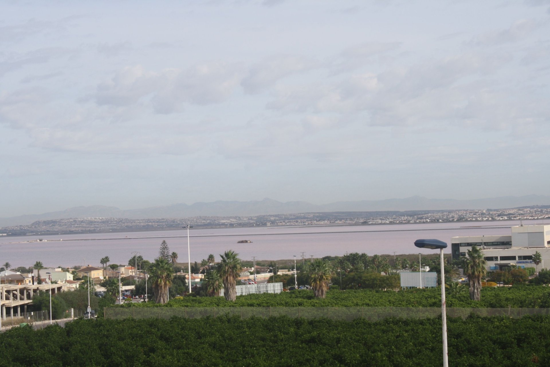 Obra nueva - Villa - Torrevieja