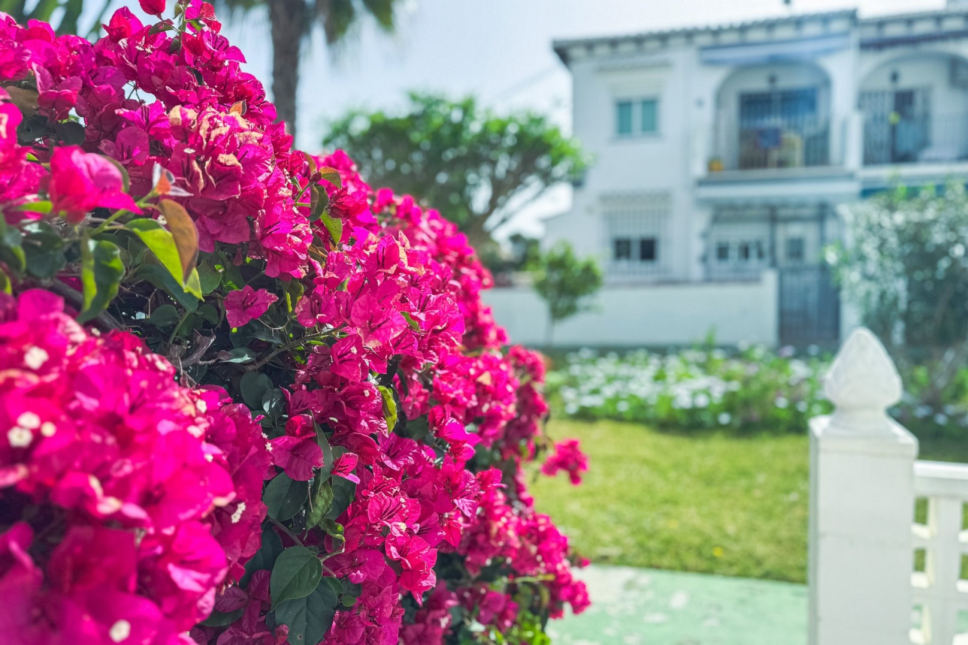 Odsprzedaż - Bungalow - Torrevieja - Lago Jardin