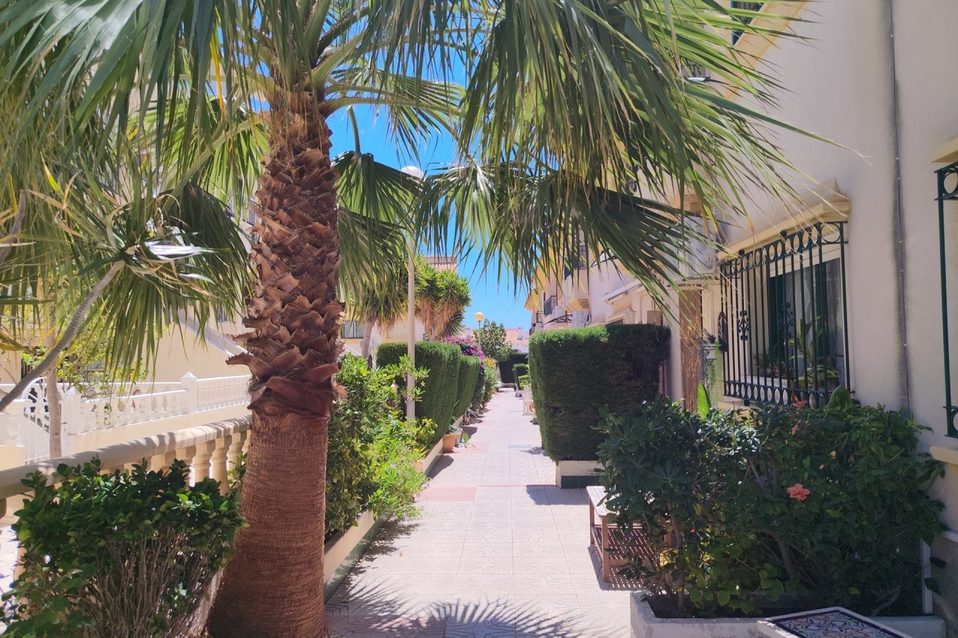 Odsprzedaż - Dupleks - Orihuela Costa - La Zenia