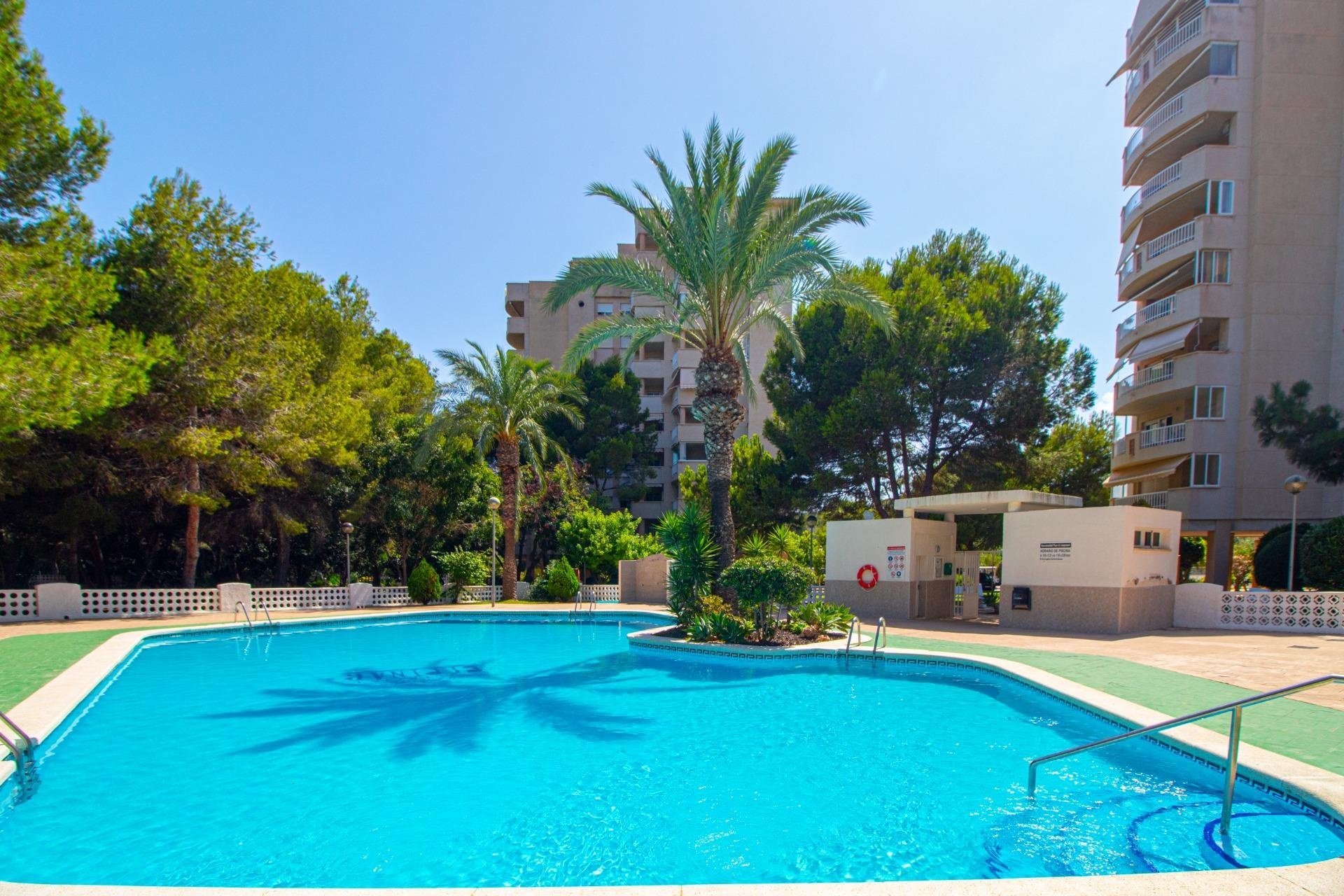 Odsprzedaż - Mieszkanie w bloku - Orihuela Costa - Campoamor