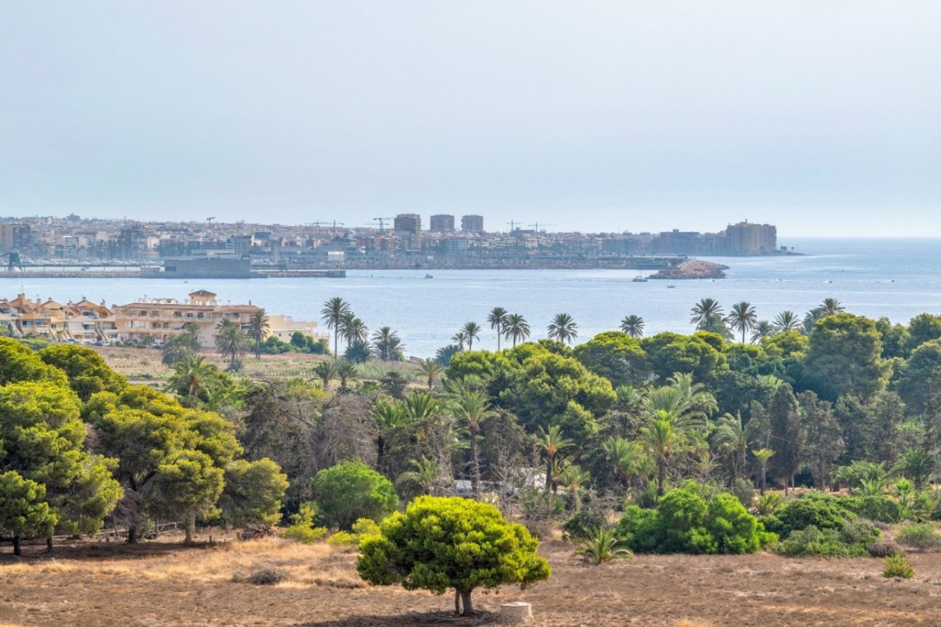 Odsprzedaż - Mieszkanie w bloku - Orihuela Costa - Punta Prima