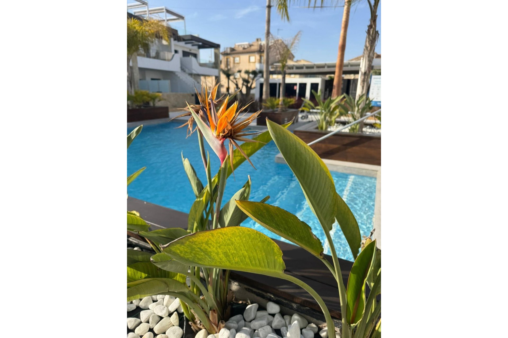 Odsprzedaż - Mieszkanie w bloku - Orihuela Costa - Rocio del Mar