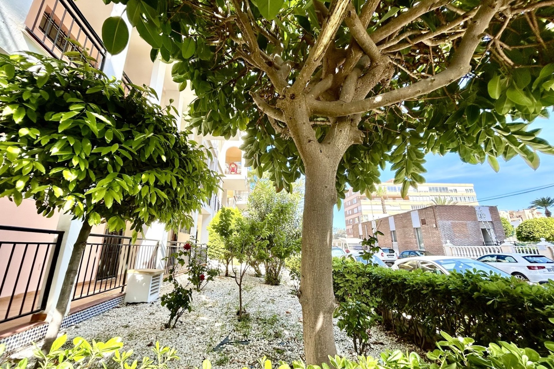 Odsprzedaż - Mieszkanie w bloku - Torrevieja