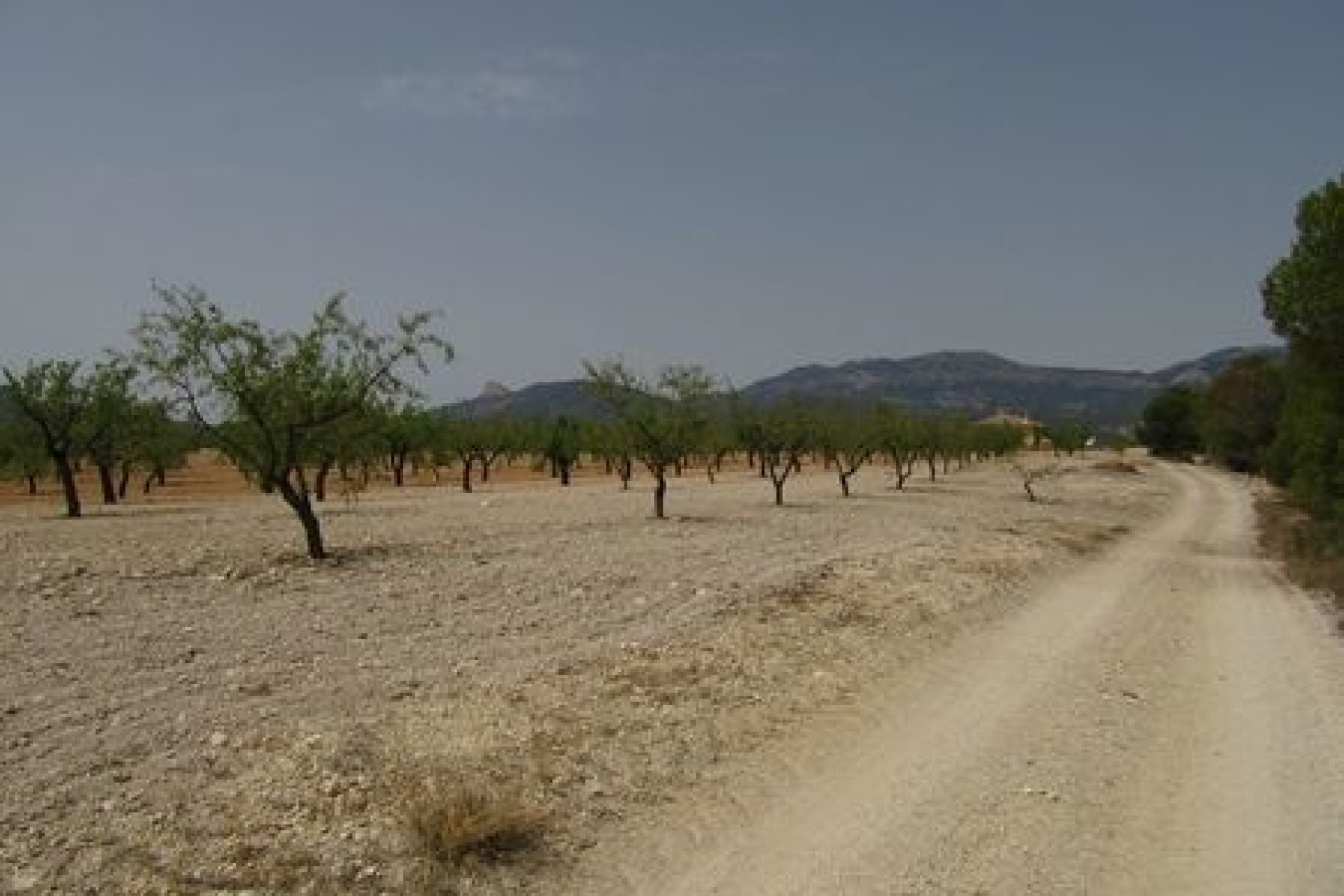 Odsprzedaż - Parcela - Murcia