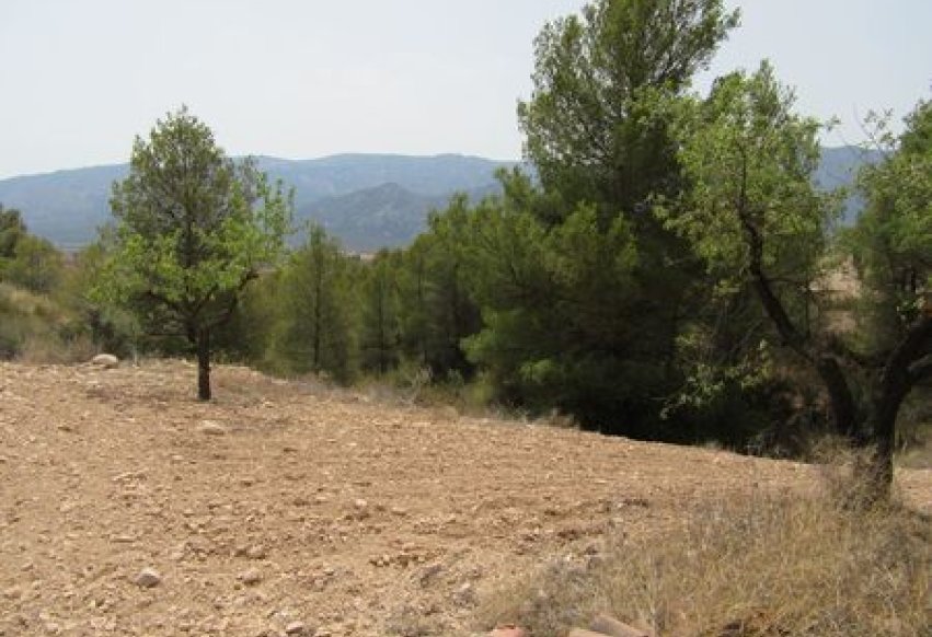 Odsprzedaż - Parcela - Murcia