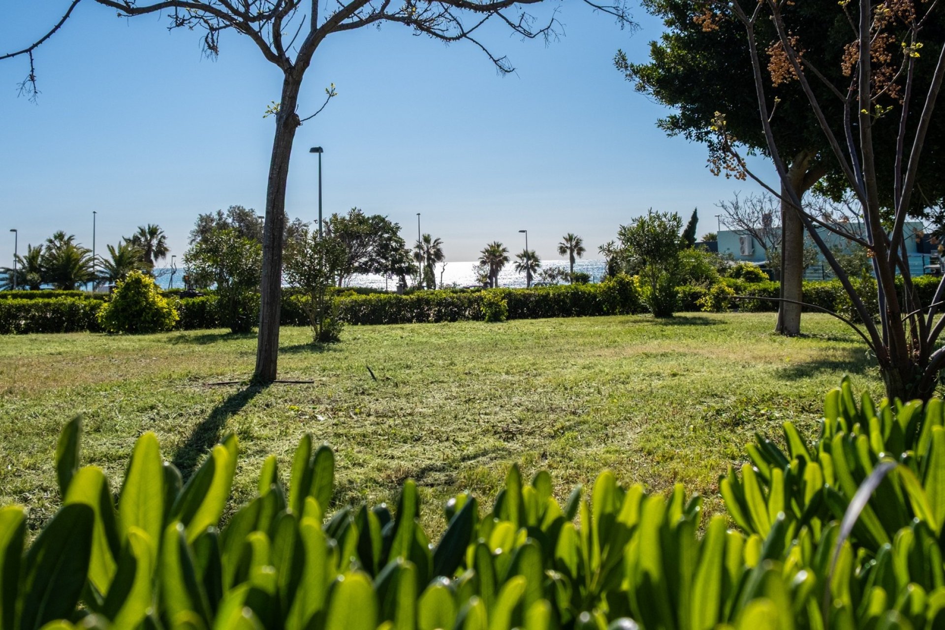 Perpardavimas - Bungalow - Pilar de la Horadada - Mil Palmeras