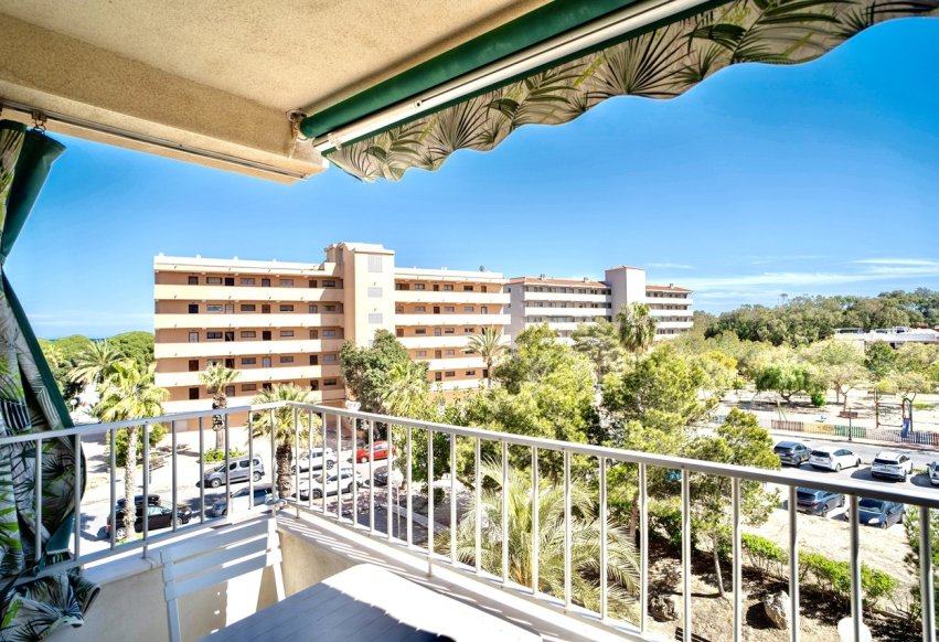 Perpardavimas - Butas - Guardamar del Segura