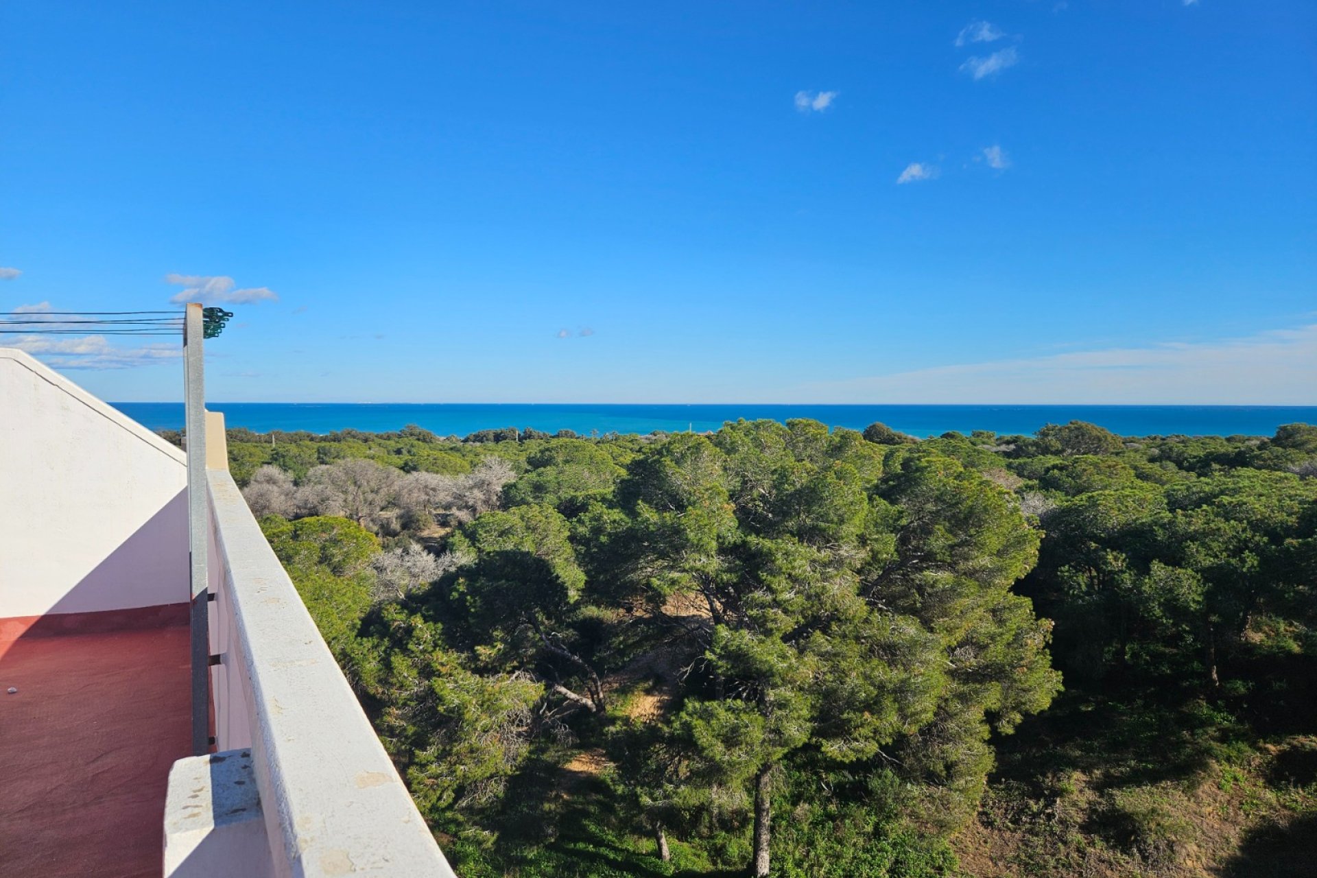 Perpardavimas - Butas - Guardamar del Segura