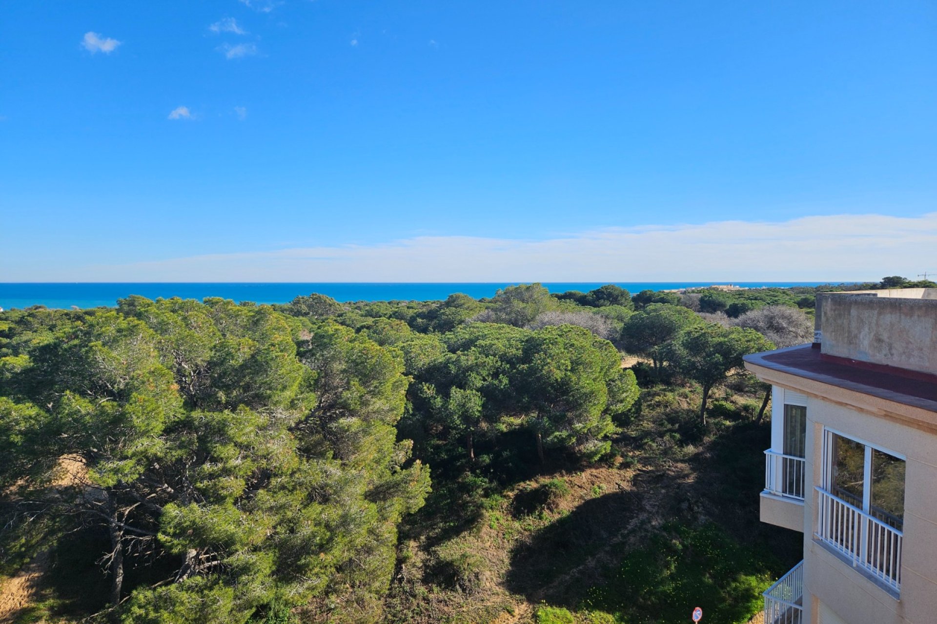 Perpardavimas - Butas - Guardamar del Segura