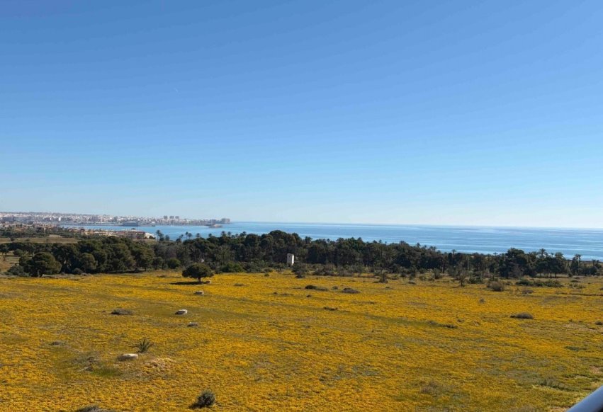 Perpardavimas - Butas - Orihuela Costa - Punta Prima