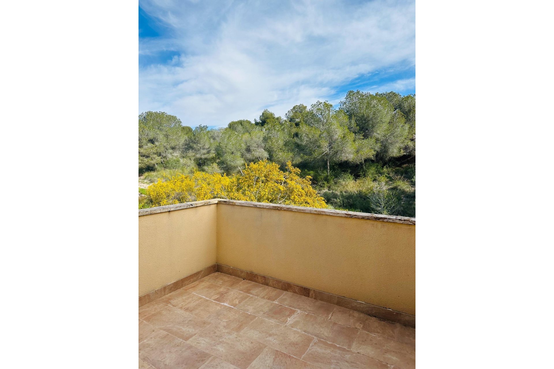 Perpardavimas - Butas - Pilar de la Horadada