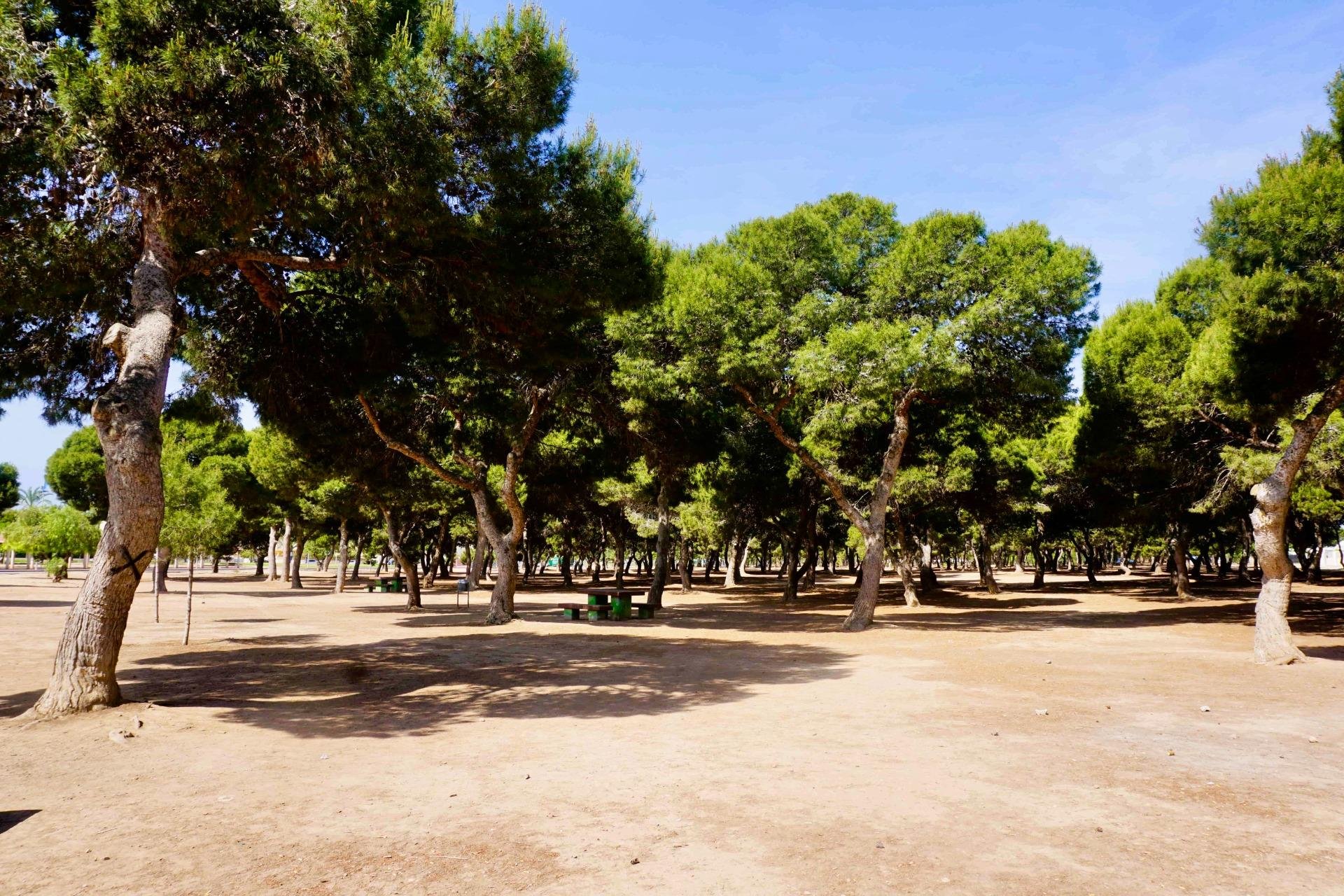 Perpardavimas - Butas - Santiago de la Ribera