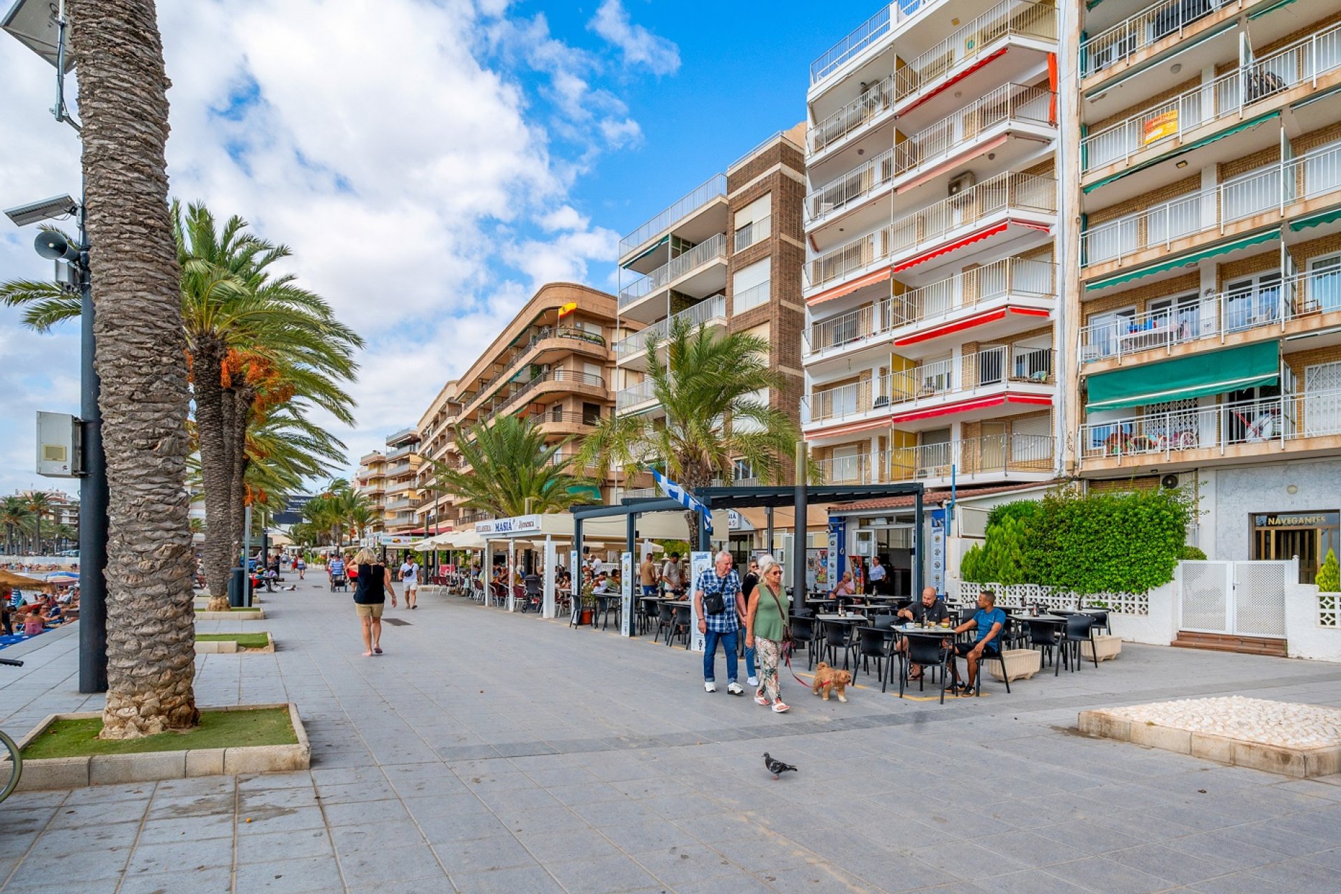 Perpardavimas - Butas - Torrevieja