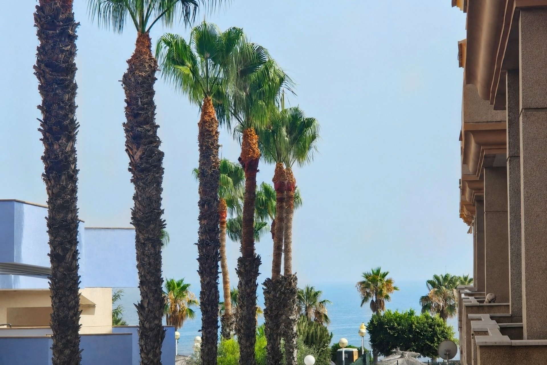 Perpardavimas -  - Orihuela Costa - Agua Marina