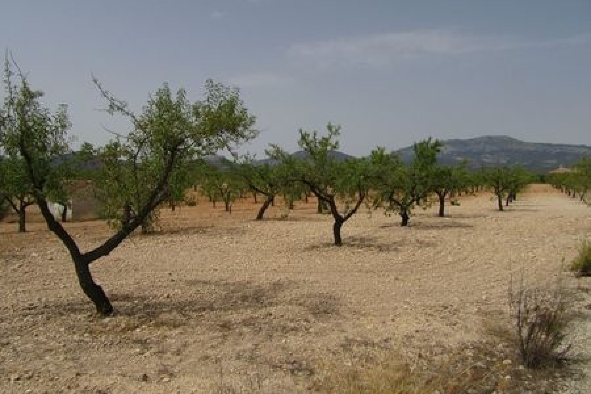 Perpardavimas - Parcela - Murcia