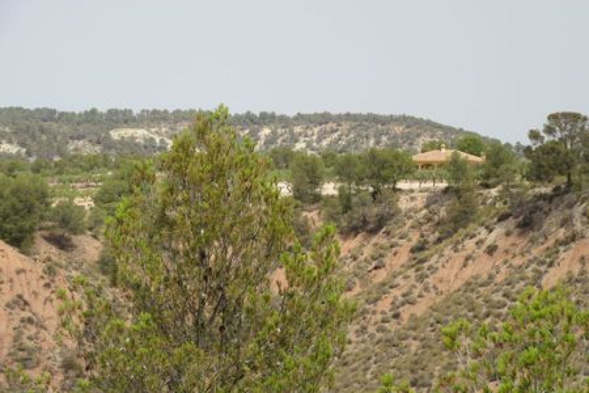 Perpardavimas - Parcela - Murcia