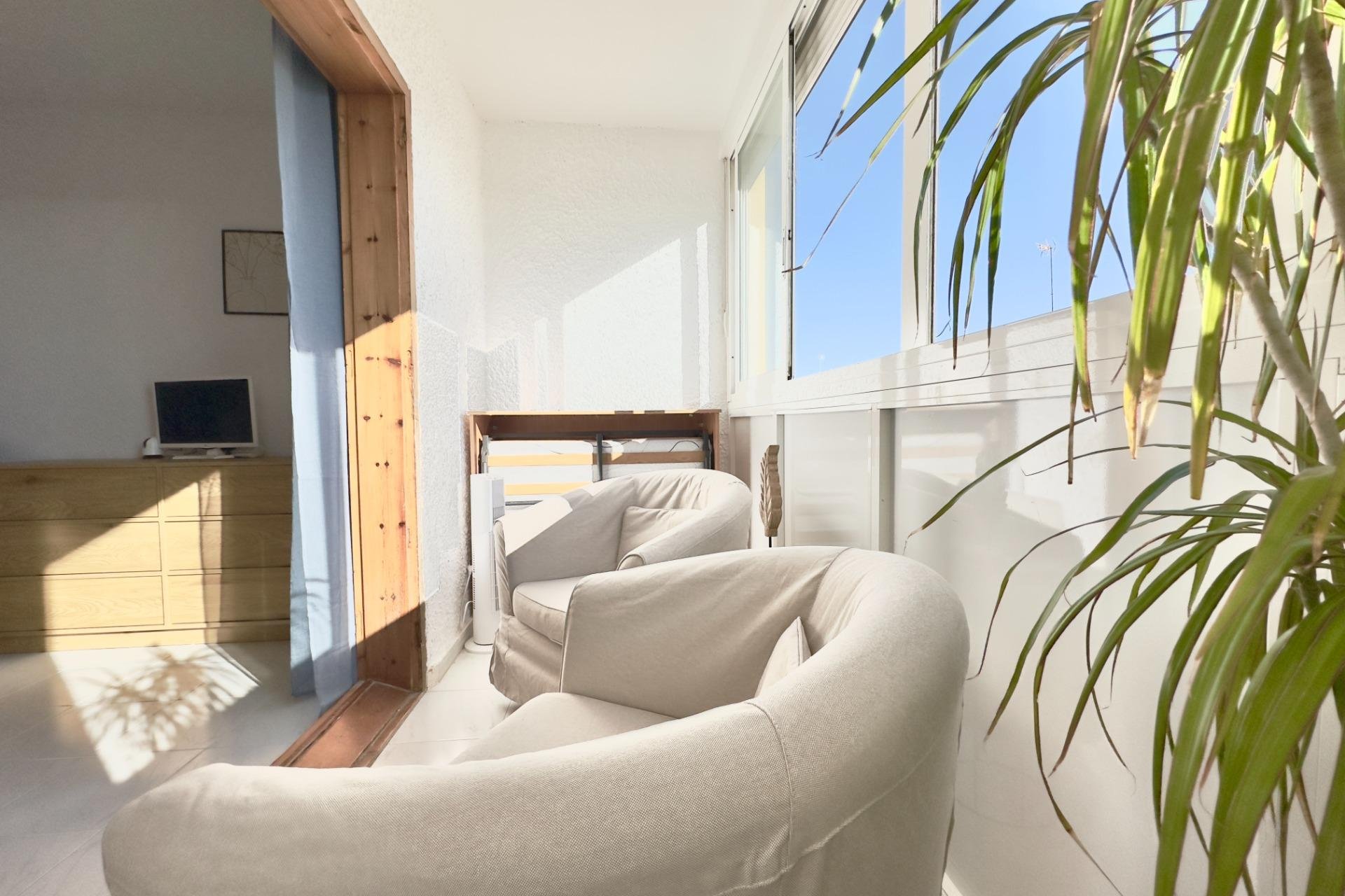 Perpardavimas - Studio - Torrevieja - Los Europeos